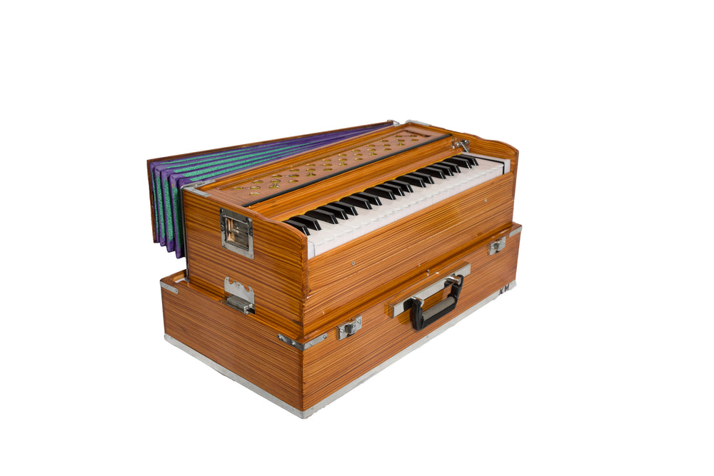 Folding Harmoniums (2 Reed)